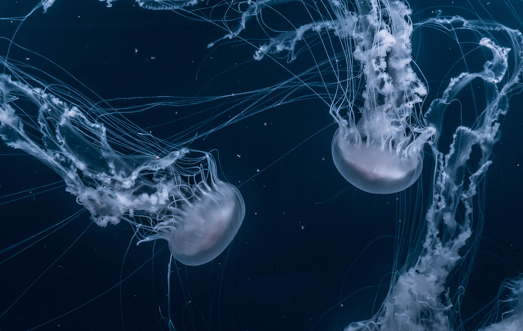 Read more about the article Deep down in the water