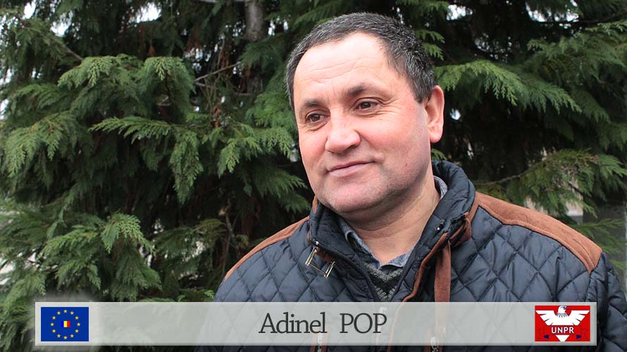 Adinel POP
