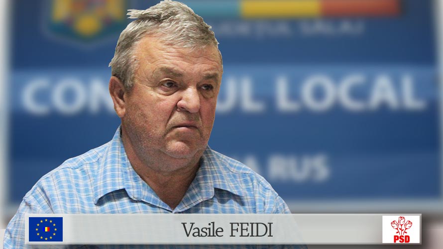 Vasile FEIDI